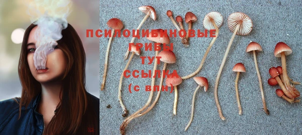 кокаин колумбия Бежецк