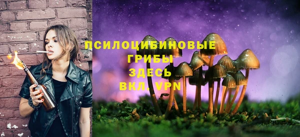 трава Магадан