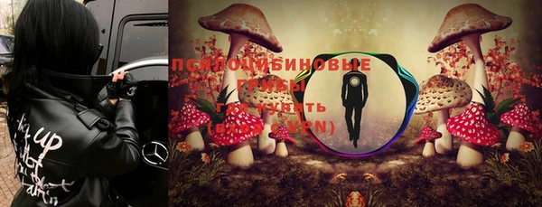 МДПВ Аша